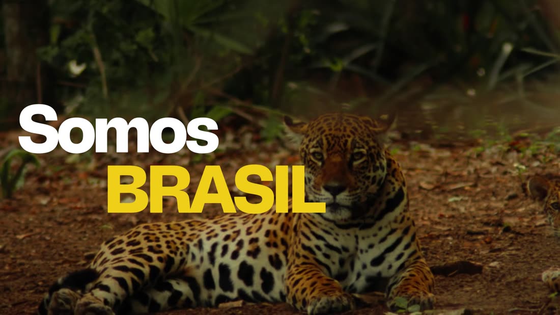 Frame do filme Somos Brasil